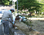 ミニ公園の清掃